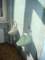 gdaska71toalety4_small.jpg